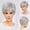 White, variant on European and Wigs Slanted Silver White Micro Curled Short Straight Hair Fiber Wig Product Category
