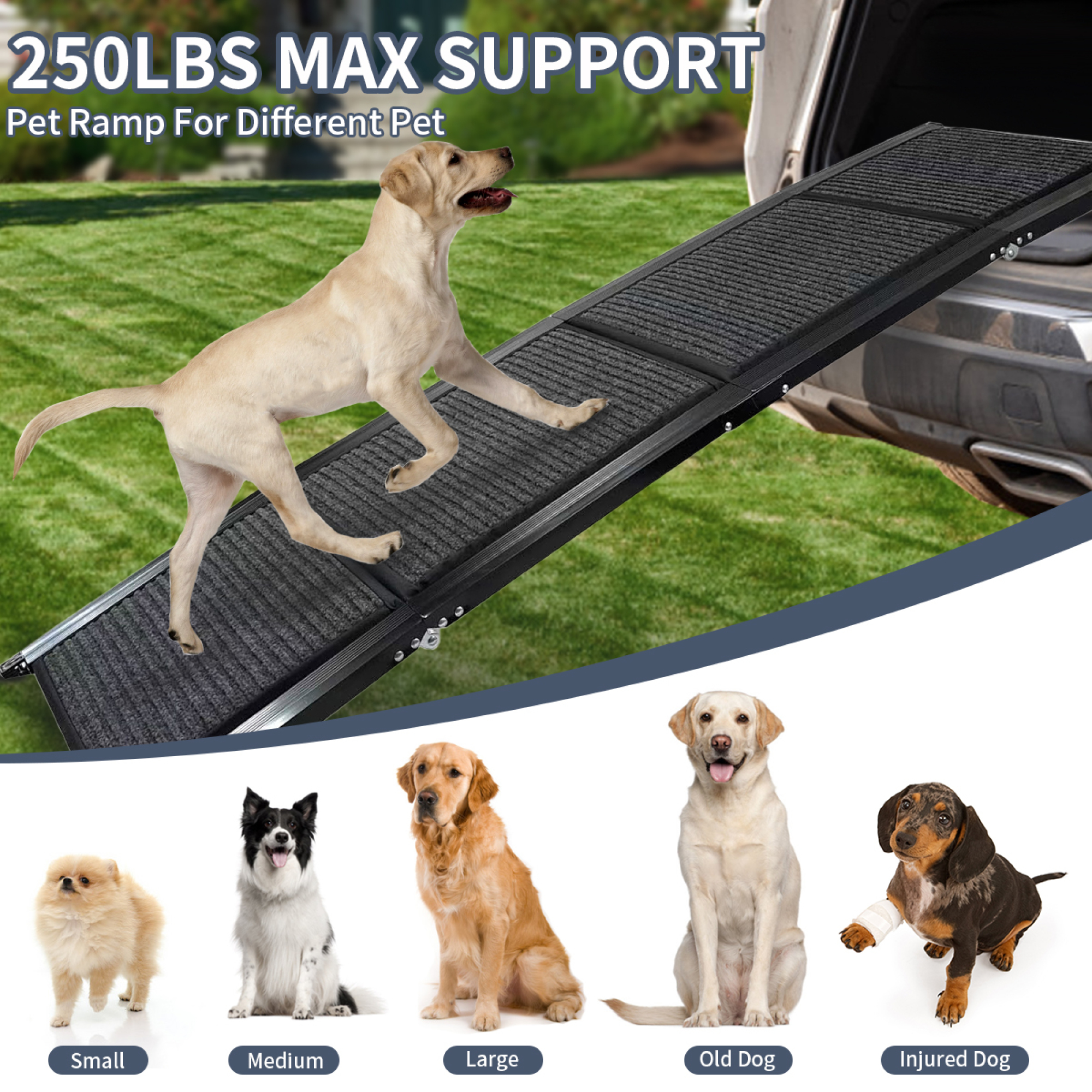 Dog Ramp for Car, 63" Long & 17" Wide Folding Portable Pet Stair Ramp with Non-Slip Rug Surface, Dog Steps for Medium & Large Dogs Up to 250LBS Enter a Car, SUV & Truck