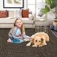 thumbnail image 6 of 8x10 Area Rug Print Braided Area Rug Machine Washable Rug for Living Room Farmhouse Solid Printed Weaving Carpet Non-Slip Stain Resistant Accent Rug Floor Cover for Home Decor, Brown, 6 of 7