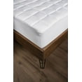 thumbnail image 1 of Health+ Polyester Mattress Pad Queen, 1 of 4