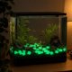 thumbnail image 1 of 40 piezas de piedras decorativas luminiscentes para acuario con formas de estrellas de mar brillantes, adornos fluorescentes para pecera, resina segura, para paisajismo DIY y temas submarinos., 1 of 6