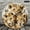 12x12in, variant on Patifu Three Lion Cubs Together Round Wooden Wall Clock Silent Mechanical Movement Home Decor 10x10in