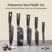 5 Piece Chef Knife Set Japanese Kitchen Knives, High Carbon Stainless Steel Blades