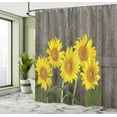 thumbnail image 5 of Ambesonne Garden Shower Curtain, Helianthus Sunflowers, 69"Wx84"L, Brown Yellow Green, 5 of 5