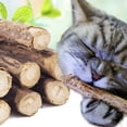 thumbnail image 3 of 1 paquete de palitos de hierba gatera natural pura para limpiar los dientes de gato, bocadillos para molares, para el hogar, tienda de suministros para mascotas., 3 of 6