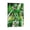 Frame-style, variant on Cooper DeJean Canvas Poster Wall Art Picture Painting Poster Canvas Print Posters Artworks Bedroom Living Room Decor 12x18inch(30x45cm)