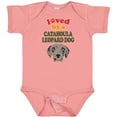 thumbnail image 3 of Inktastic Catahoula Leopard Dog Gift Boys or Girls Baby Bodysuit, 3 of 5