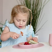 Mini Feeding Set (Blush)