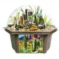 thumbnail image 2 of Toys By Nature: Desert Dome - DIY Biosphere Terrarium Starter Kit, Grow & Cultivate An Indoor Mini Garden, Cacti & Succulent Plants, Adults-Kids 4+, 2 of 8