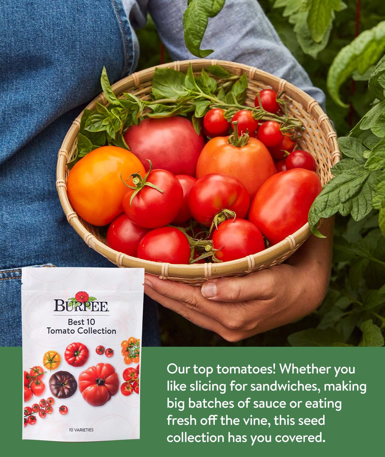 Burpee Best 10 Tomato Seed Collection, Annual Vegetable, Full Sun Lifecycle