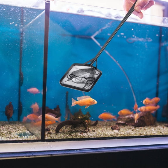 Hovmgk Square Mesh Pocket Goldfish and Pool Cleaning Net, Fine Mesh Skimmer for Debris Removal, Sturdy Plastic Frame, Ideal for Swimming Pools, Ponds, Hot Tubs, and Fish Tanks
