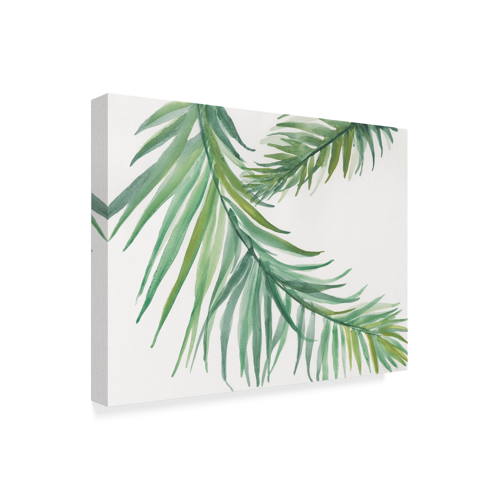 Trademark Fine Art 'Ferns Square IV' Canvas Art by Chris Paschke