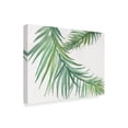 thumbnail image 2 of Trademark Fine Art 'Ferns Square IV' Canvas Art by Chris Paschke, 2 of 3
