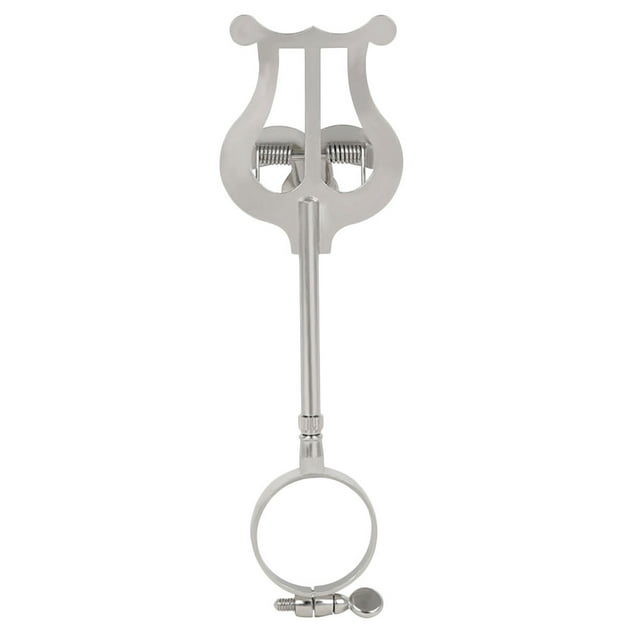 1 soporte portátil para partituras de clarinete, abrazadera de hierro para clarinete (plateado).
