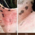 thumbnail image 4 of Natural Dog Company Skin Soother 2 oz Tin, Dog Healing Balm, 4 of 8