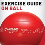 Lifeline Exercise Ball 65CM