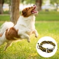 thumbnail image 3 of Collar para perro Martinger con rayas multicolor reflectantes 3M de 8 colores de Blueberry Pet, 3 of 5