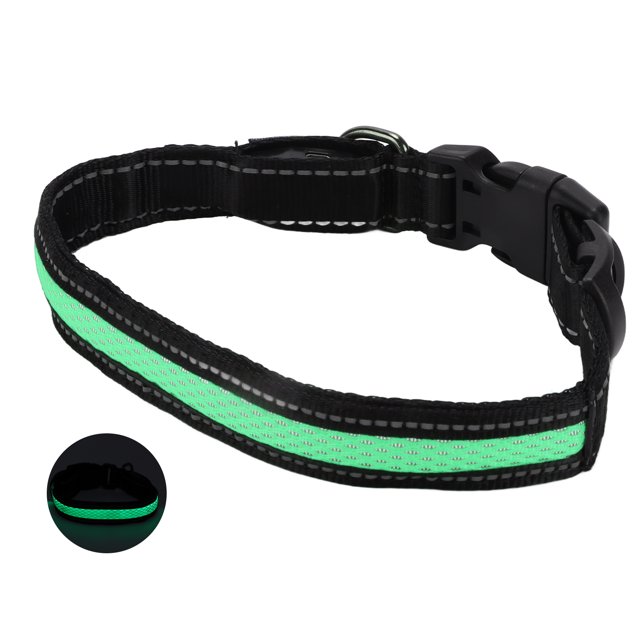Collier LED pour Chien, Collier Lumineux Collier Stable Clip en Métal pour Extérieur Rouge, Vert, Bleu