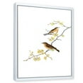 thumbnail image 3 of Designart 'Little Birds Sitting On The Tree Branches II' Traditional Framed Canvas Wall Art Print, 3 of 5