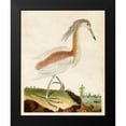 thumbnail image 2 of Unknown 12x14 Black Modern Framed Museum Art Print Titled - Heron Portrait III, 2 of 5