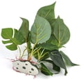 thumbnail image 2 of Planta decorativa de hoja de loto Artificial Brillar Acuario de plástico verde 31cm, 2 of 5