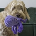 thumbnail image 2 of Juguete para perro KONG Cuteseas Rufflez pulpo de peluche suave con relieve, 2 of 5