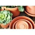 thumbnail image 3 of Bloem Terra Plant Saucer Tray 13 x 2.5 Plastic Round Peppercorn, 3 of 6