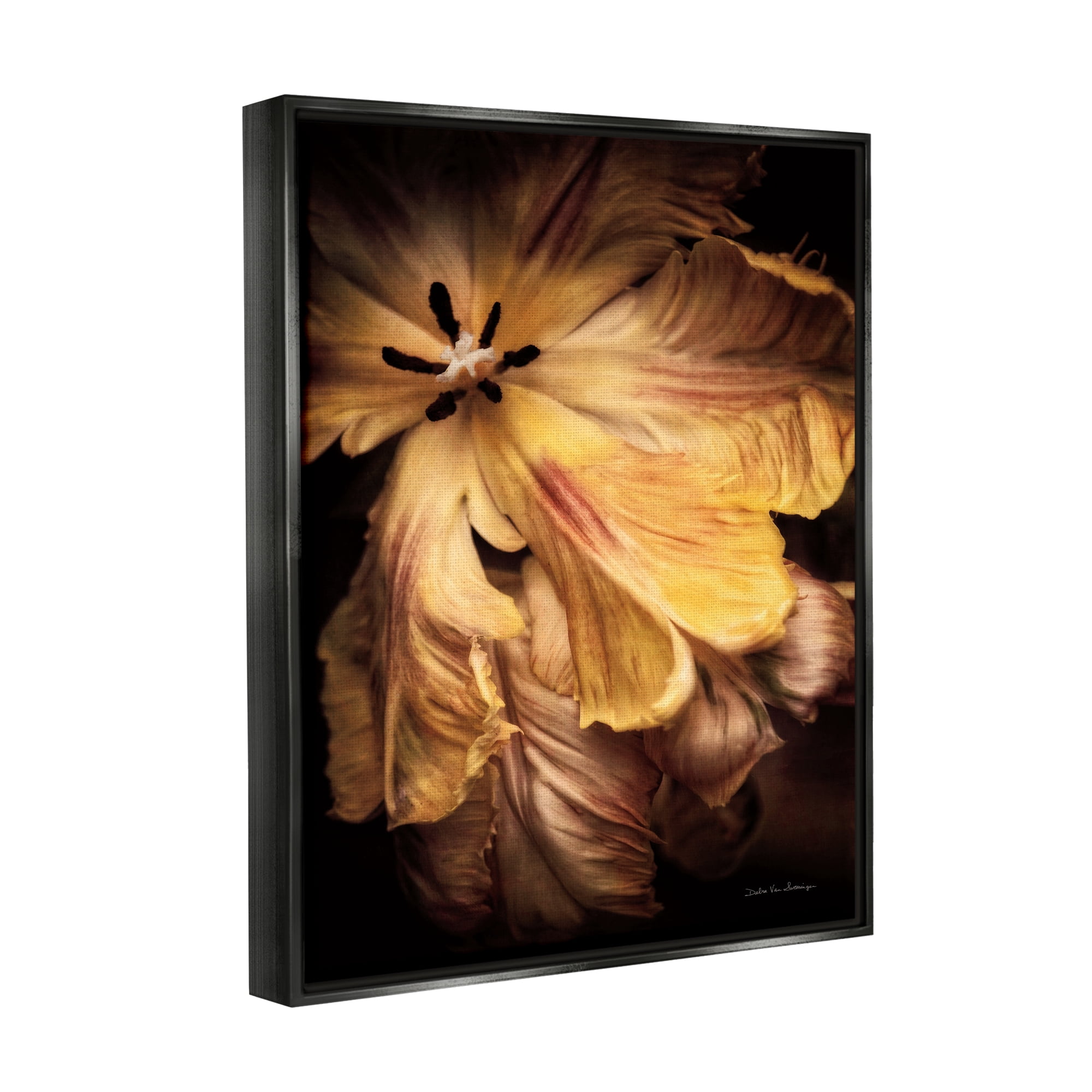 Stupell Industries Modern Hibiscus Photography Botanical & Floral Photography Black Floater Framed Art Print Wall Art, 17 x 21
