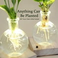 thumbnail image 6 of LED Hydroponic Vase - Round Glass Desktop Terrarium with Waterproof Lighted Wooden Base, Visible Root Growth Planter for Indoor Plants, Home Office Decorative Lighted Plant Vase, White, 6 of 8