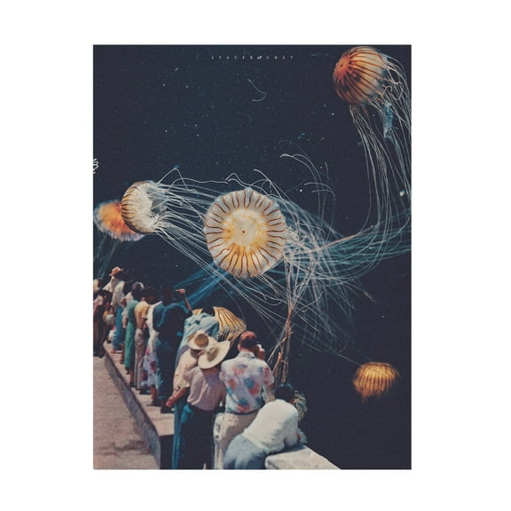 Trademark Fine Art spacerocket art 217 Canvas Wall Art