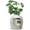 Gray, variant on Cat Litter Box Enclosure with Faux Plant & Real Stones, Hidden Litter Box with Odor Control Carbon Filter, Home DIY Decor Furniture for Large Cat, Black
