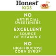 thumbnail image 2 of Honest Kids Organic Kids Apple Juice Boxes 8 Pack 6 fl oz (Pack Of 2), 2 of 5