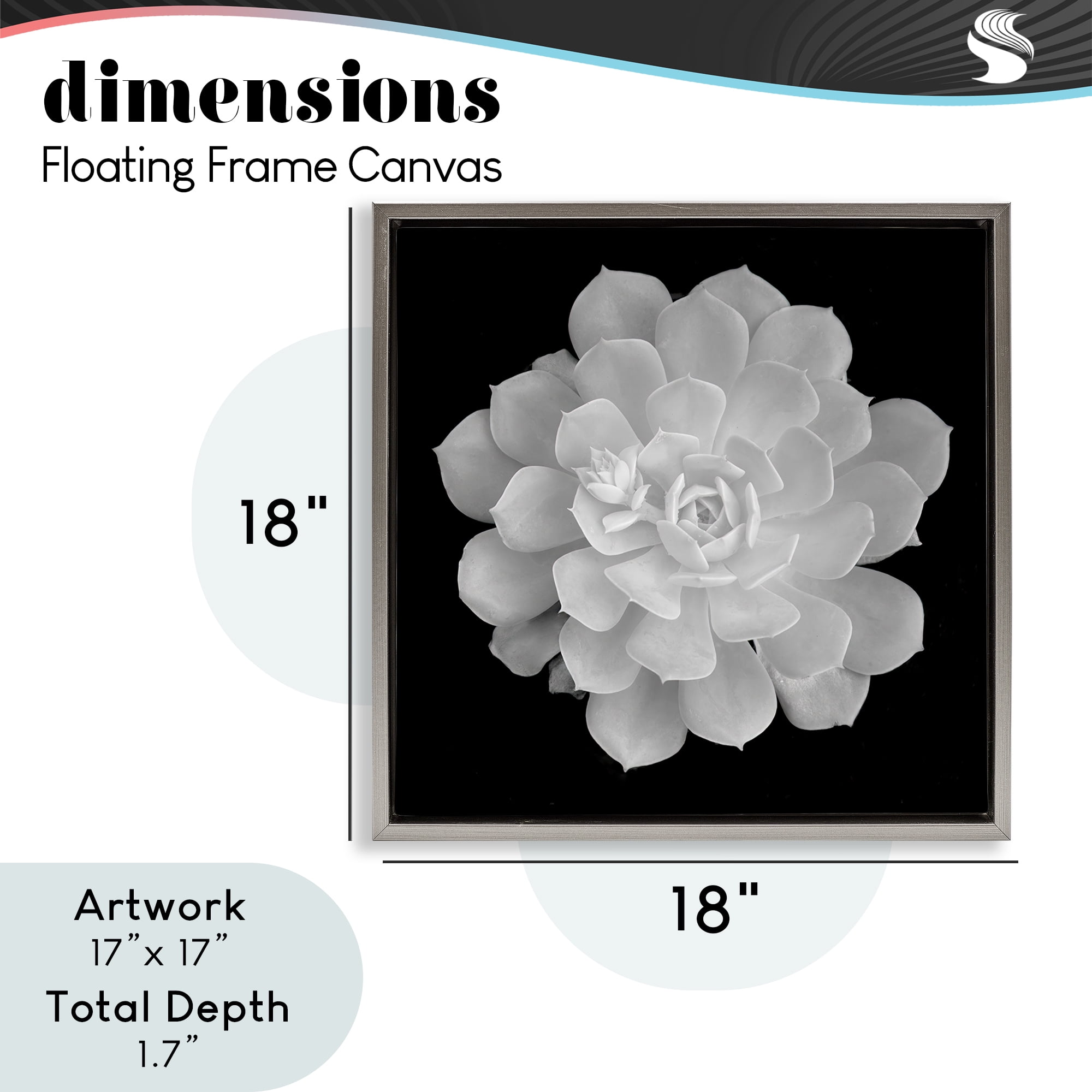 Pure White Succulent Contrast Gray Framed Floater Canvas Wall Art, design by Phillip Flowers