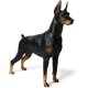 thumbnail image 1 of Figura de perro simulado YONGSHENG Doberman amarillo, 1 of 4