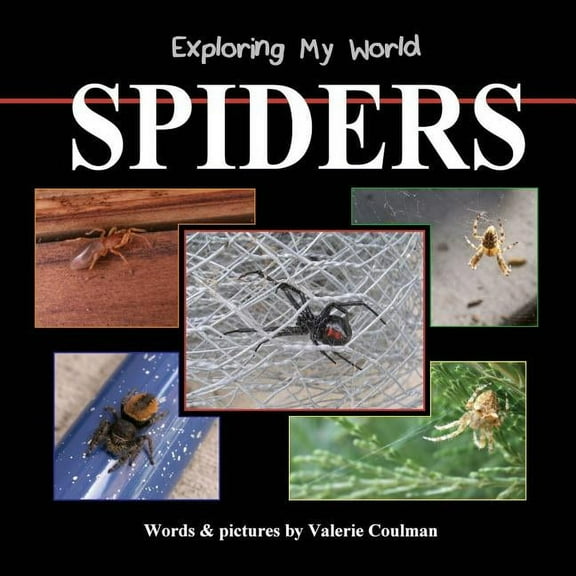 Exploring My World Exploring My World: Spiders, Book 1, (Paperback)