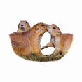 thumbnail image 2 of CafePress - Prairie Dog Kiss -  Round Wood Ornament 4", 2 of 2