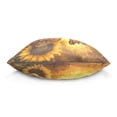 thumbnail image 2 of Wobogo Giraffe Sunflower Illustration Pillowcase Special Crystal Velvet Breathable and Comfortable Bedside Decorations Pillow 16×16in, 2 of 7