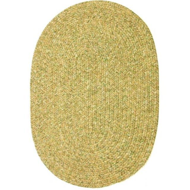 Rhody Rug Tapis Ovale Tressé Intérieur-Extérieur, Avoine, 4 x 6 Pieds, Réversible, Résistant aux Taches