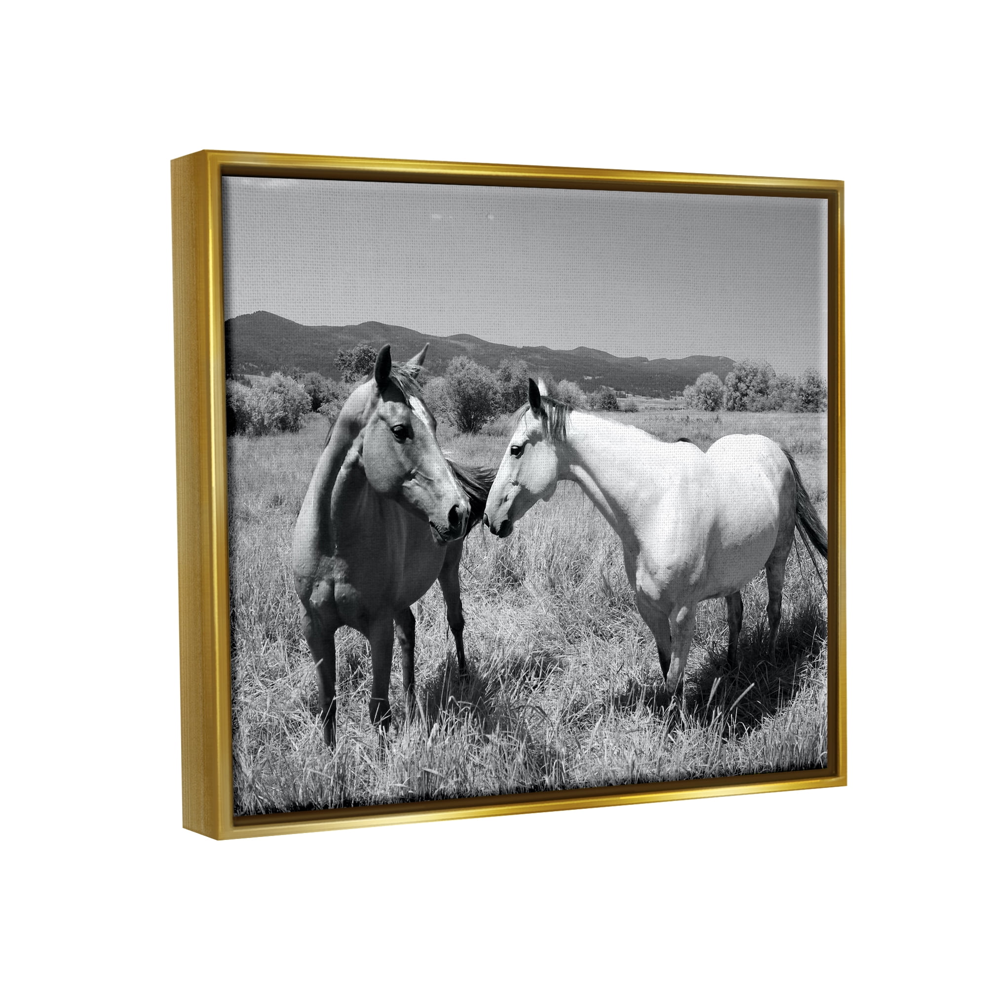 Stupell Industries Two Horses Photography Landscape Photography Gold Floater Framed Canvas Art Print Wall Art, 21 x 17