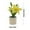 Red, variant on Fake Silk Lily Plants - 10.6 Inch All-Season Faux Flowers with Pot for Table Centerpiece, Office Decor, Realistic Artificial Flowers Indoor Outdoor