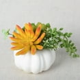 thumbnail image 2 of Thanksgiving Decorations Pumpkin with Plastic Succulents,Artificial Pumpkin Fall Harvest Décor for Table Home Kitchen Room Party, 2 of 8