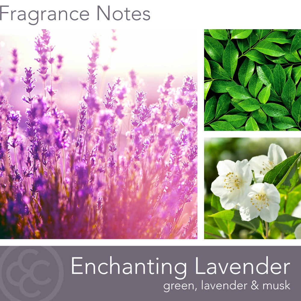 Colonial Candle Enchanting Lavender 16 oz Aromatherappy Candle, White