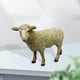 thumbnail image 5 of Modelo realista de oveja, figura de acción, juguete cognitivo, simulación de zoológico y granja., 5 of 8