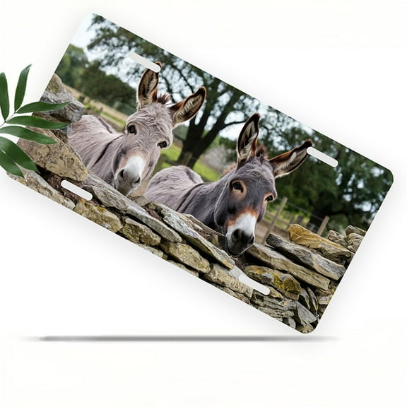 License Plate, Raccoons "Respect Locals" Art Decorative Front,Personalized Stainless Steel License Plate Cover For Men Women,12.2" X 6.2"