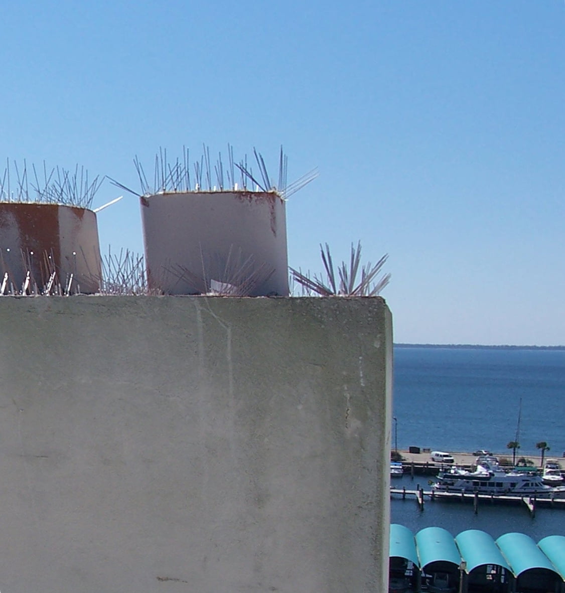 Bird Repellent Spikes,50 ft. L SP-50