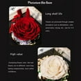 thumbnail image 5 of FTCBJJA Preserved Real Rose in Beautiful Creative Heart Design Glass Dome, Everlasting Black Roses Gift, 5 of 5