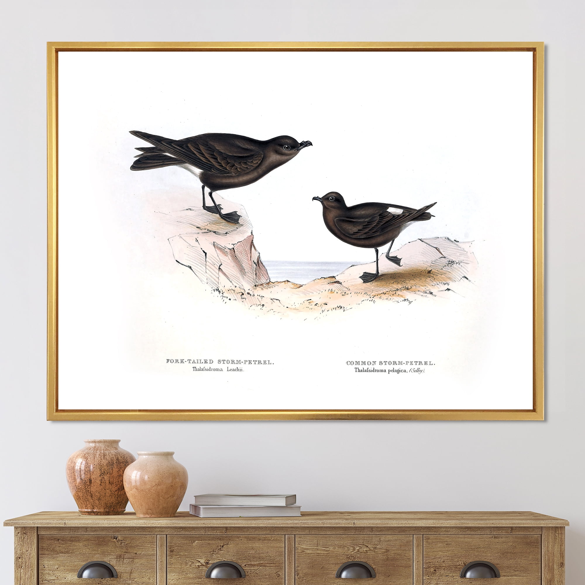 Ancient Bird Of Europe III 32 in x 24 in Framed Painting Canvas Art Print, by Designart
