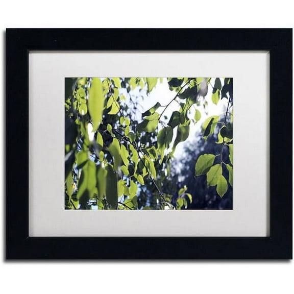 Trademark Fine Art "Whispers of Summer" Canvas Art by Beata Czyzowska Young, White Matte, Black Frame