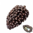 thumbnail image 4 of ZHZFKQ 2026 New Hide A Key,Garden Key Hider,Pinecone Spare Keys Box Outdoor Garden Security Diversion Safe Storage Case Lifelike Key Box, 4 of 6