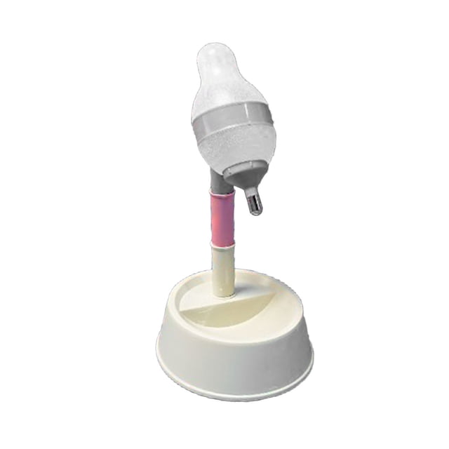 Distributeur d'Eau pour Chien Debout, Distributeur d'Eau pour Chat Debout Distributeur d'Eau pour Chien Distributeur d'Eau Debout Bol de Qualité Supérieure